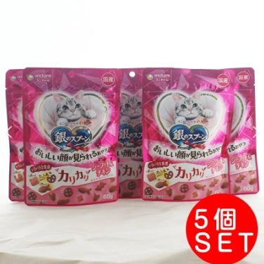 銀之匙寵物零食 海鮮雞肉脆餅 60g*5【平行進口】